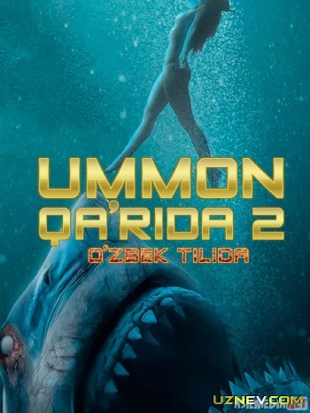 Ummon qarida 2 Uzbek tilida 2019 Full HD O'zbek tarjima skachat