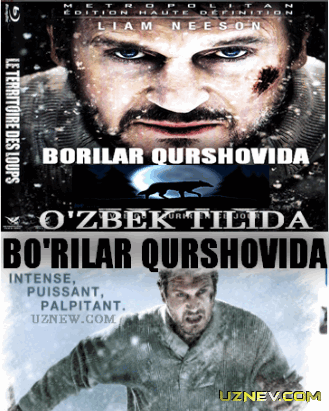 Bo'rilar Qurshovida / Борилар Куршовида (Uzbek tilida) HD 2015